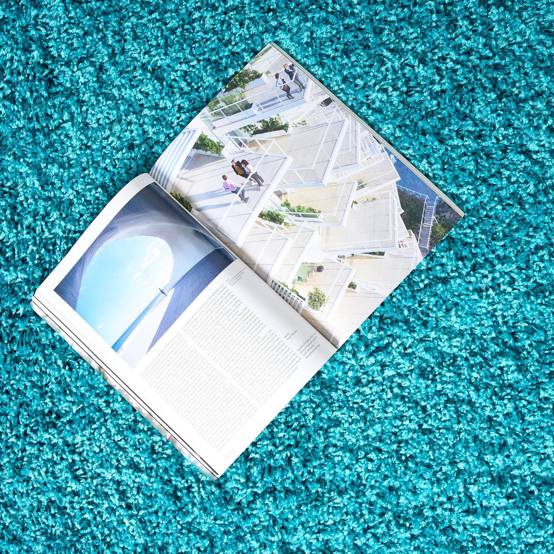 Teal Blue Thick Shaggy Rug - California - Bargainia.com - 