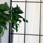 Tomi - Full Length Black Metal Arched Lattice Window Mirror - 200cm x 120cm - Bargainia.com - 