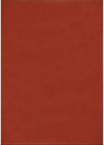 Urban Outdoor Rug Terra | 1000 - Bargainia.com - 