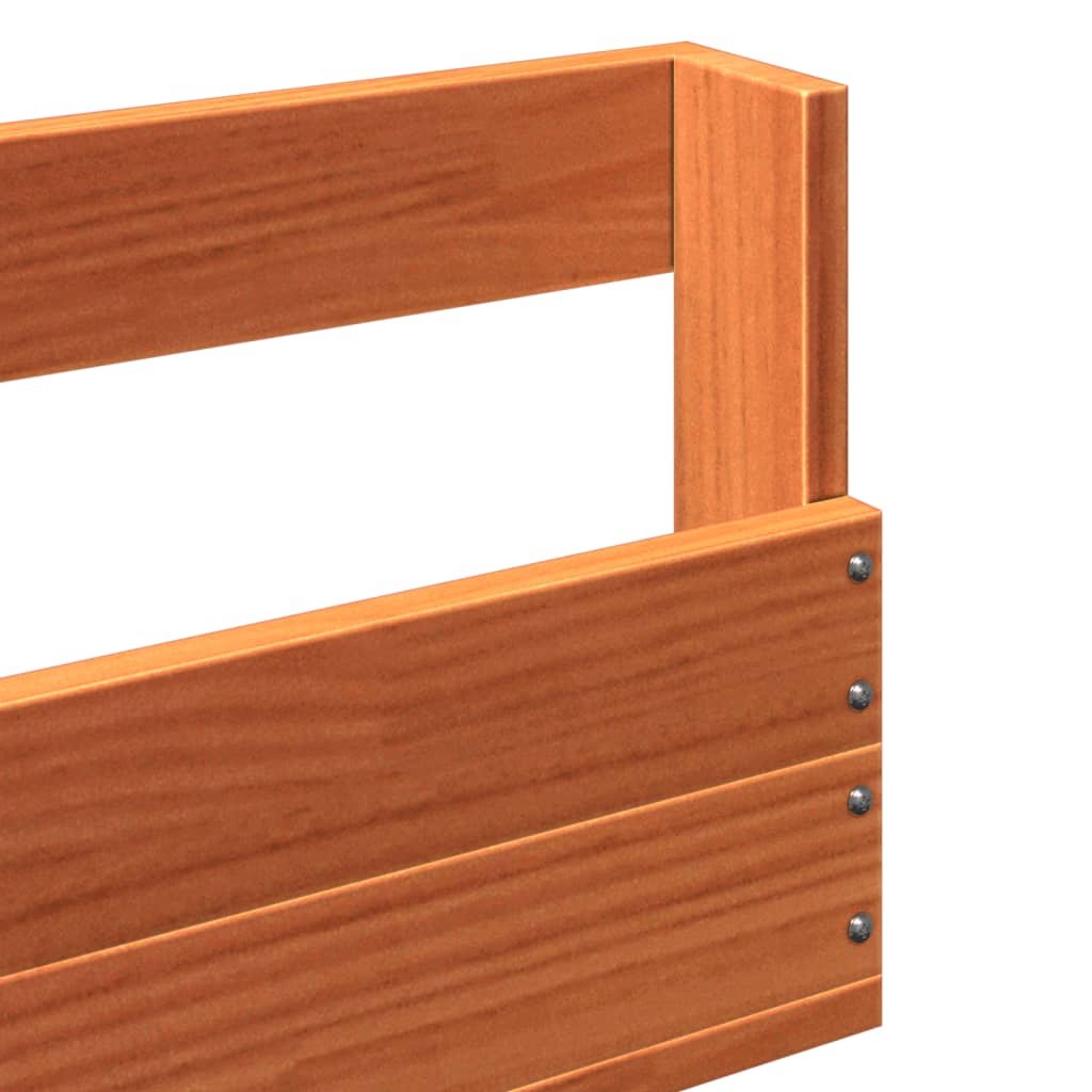 Wall - mounted Shoe Racks 2 pcs Wax Brown 110x8.5x23.5 cm Solid Wood Pine - Bargainia.com - 
