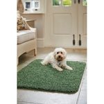 Washable Forest Green Shaggy Rug - Bargainia.com - 