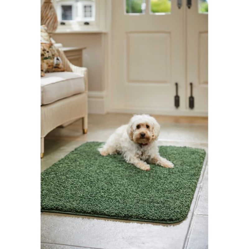 Washable Forest Green Shaggy Rug - Bargainia.com - 5026134546752 - MYRUGX_FSTGRN_100XCIR