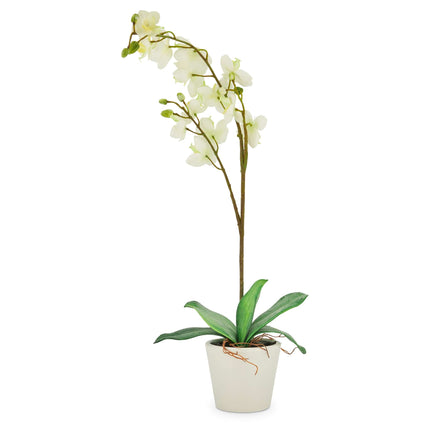 Artificial Orchid in Pot - Cream 4024077733100 bargainia-com
