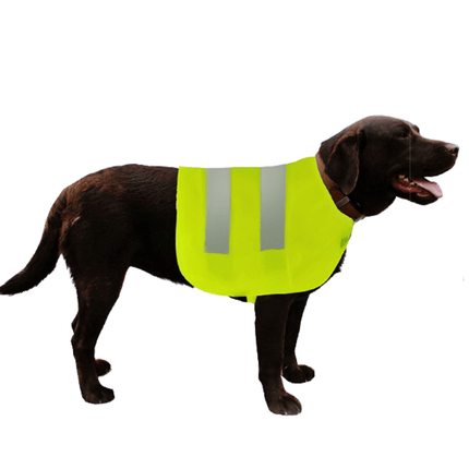 Crufts High Visibility Pet Safety Vest - Assorted Sizes Bargainia.com