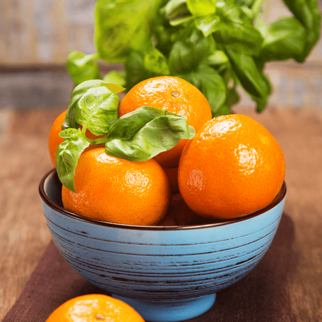 Wax Melts 15ml - Assorted Scents Lime Basil & Mandarin bargainia-com