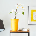 Yellow Rhone Plant Pot - 25cm - Bargainia.com - 